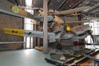 DSC_8954.jpg