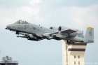 DSC_3596.jpg