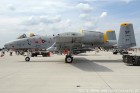 DSC_3389.jpg