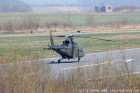 DSC_7941.jpg