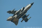 DSC_7196.jpg
