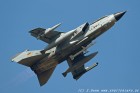 DSC_7215.jpg