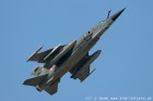 DSC_7397.jpg