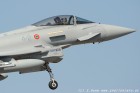 DSC_8035.jpg