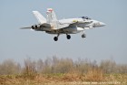 DSC_7575.jpg
