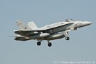 DSC_7613.jpg
