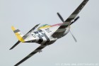 DSC_5928.jpg