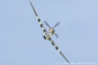 DSC_6004.jpg