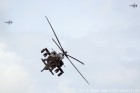 DSC_7271.jpg