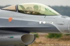 DSC_0982.jpg