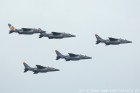 DSC_1977.jpg