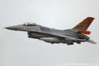 DSC_1379.jpg