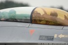 DSC_1482.jpg