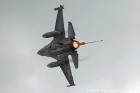 DSC_2108.jpg
