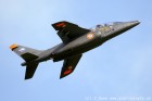 DSC_7425.jpg