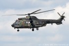 DSC_7041.jpg