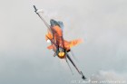 DSC_7176.jpg