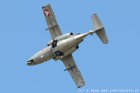 DSC_6147.jpg