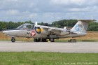 DSC_8328.jpg