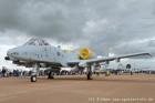 DSC_3787.jpg