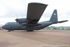 DSC_3930.jpg