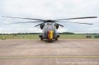 DSC_3960.jpg