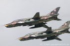 DSC_5596.jpg