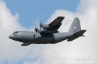 DSC_7494.jpg