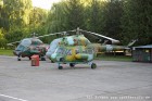 DSC_7101.jpg