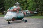 DSC_7103.jpg