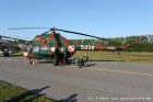DSC_7118.jpg