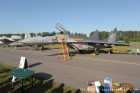 DSC_7172.jpg