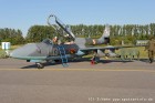 DSC_7177.jpg