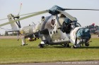 DSC_7266.jpg
