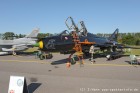 DSC_7356.jpg