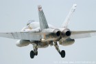 DSC2502.jpg