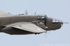 DSC_6555.jpg