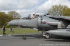 DSC_5954.jpg