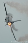 DSC_8023.jpg