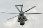 DSC_7424.jpg