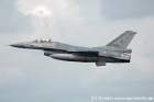 DSC_6529.jpg