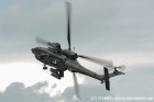DSC_6849.jpg