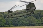DSC_7034.jpg