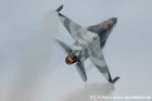 DSC_7584.jpg
