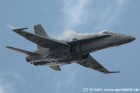 DSC_7863L.jpg