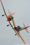DSC_2207.jpg