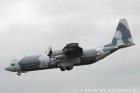 DSC_2516.jpg