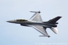 DSC_2888.jpg