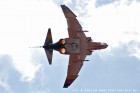 DSC_6674.jpg
