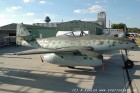 DSC_3557.jpg